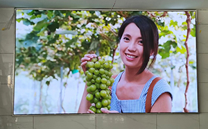 長沙LED顯示屏公司,長沙LED顯示屏廠家,長沙小間距LED顯示屏,長沙電子顯示屏,長沙LED異形屏,長沙LED透明屏,長沙LED顯示屏,長沙LED大屏,湖南LED顯示屏公司,湖南電子顯示屏,湖南全彩顯示屏,湖南LED顯示屏,湖南LED大屏